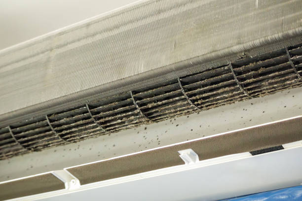 Best HVAC System Cleaning  in Kingman, AZ